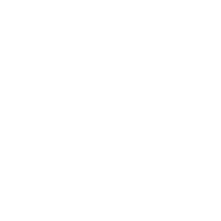 Multilingual Support