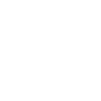 Supports Regional Languages